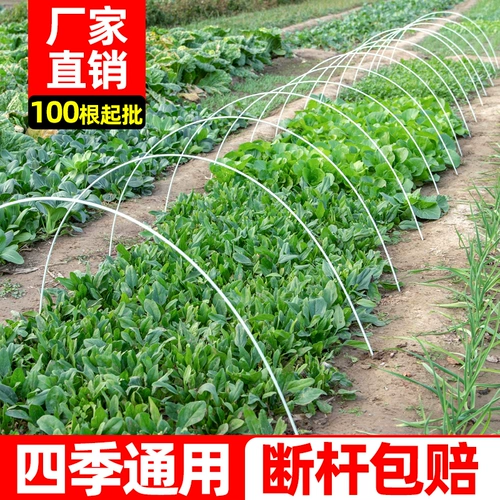 Стеклянная трубка, скелет, сельскохозяйственный стеклянный термос