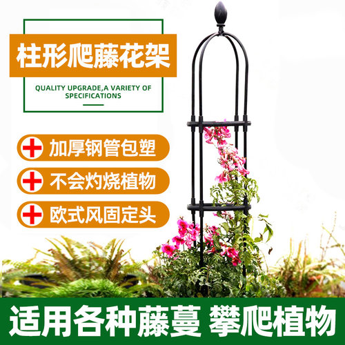 U型园艺爬藤架钢管包塑花架月季花铁线 线莲植物攀爬架子花盆支架