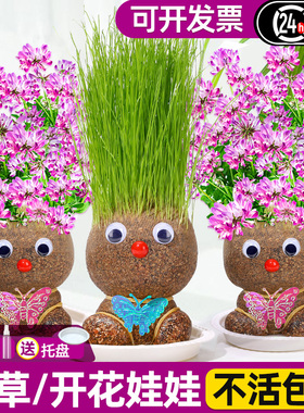 草头娃娃头上长草开花头发种植小盆栽幼儿园种草儿童观察植物生长