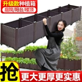 Семейная балкона посадки артефакты овощные овощные ящик прямоугольная пластиковая цветочная горшка топ -ящик для цветов открытый двор