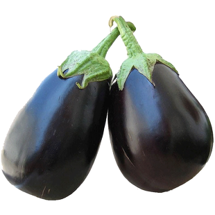 茄子苗秧种苗四季新鲜白紫茄子绿茄种子长茄特大秧苗春季蔬菜盆栽