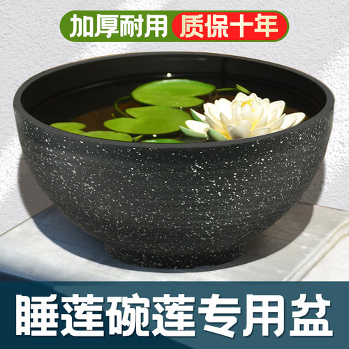 树脂简约睡莲水培专用