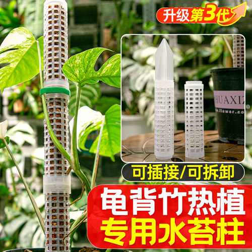 魔豆菜园可拼插水苔柱热植专用