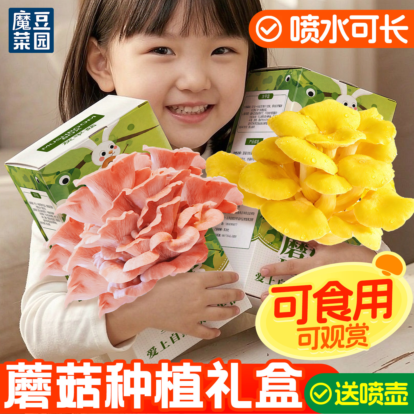 蘑菇种植包儿童可食用蘑菇盒子图片