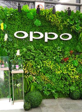 仿真植物墙网红墙面背景墙绿色塑料绿植人造草皮假花布景草坪装饰