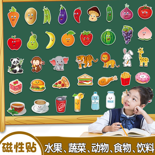 儿童幼儿园早教学认知磁力贴