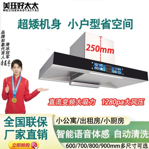 欧式抽油烟机小尺寸公寓出租房用