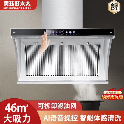 小尺寸大吸力抽油烟机家用厨房不锈钢双电机小型出租房侧吸油烟机