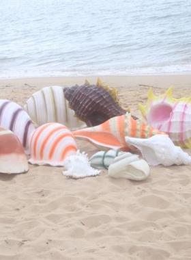 户外仿真贝壳乌龟海星海螺玻璃钢海洋生物雕塑沙滩游乐场公园摆件