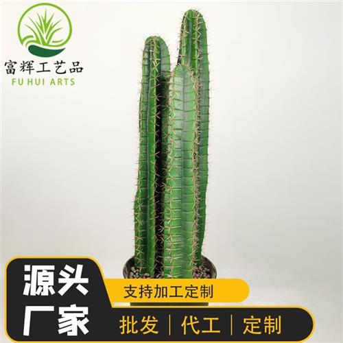 仿真注塑仙人掌仙人球仙人柱盆栽组合造景装饰拍摄道具厂家