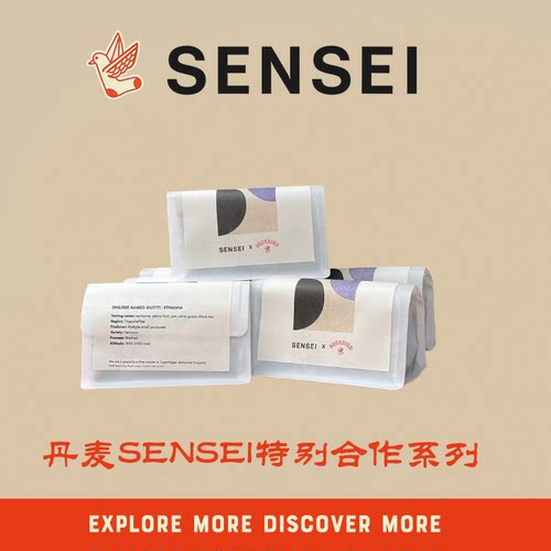 袜鸟联名丹麦SENSEI浅烘水洗埃塞