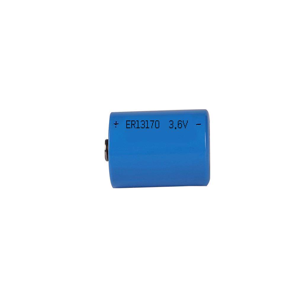 电台雷达电池ER13170 600mAh 3.6V仪表专用锂亚一次性电池