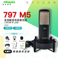 Пекин 797 Audio M5 Профессиональная запись емкость CV Live K Song Mike Dubbing Guitar