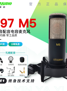 北京797 Audio M5专业录音电容话筒CV直播K歌麦克风配音吉他弹唱