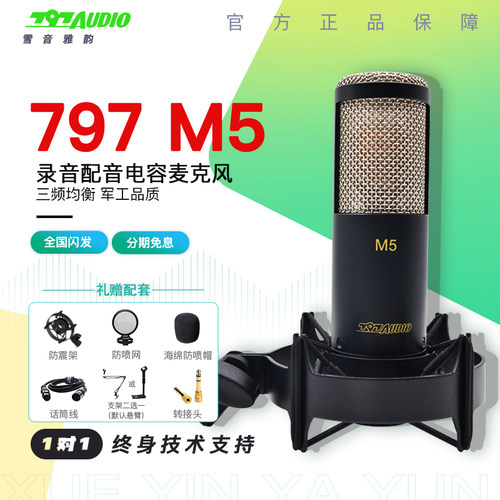797M5专业电容话筒配音麦克风