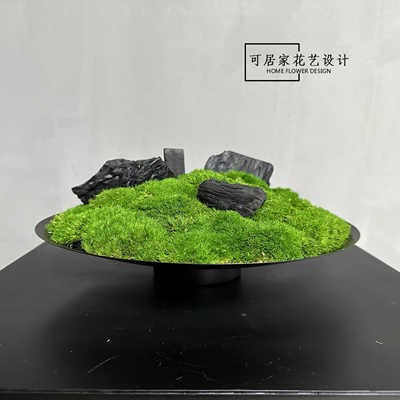 转盘桌面轻奢永生苔藓绿色盆景