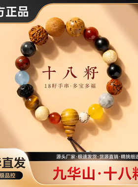九华山文玩好物十八子菩提旅游纪念男女款手串盘灵隐多宝手串佛珠