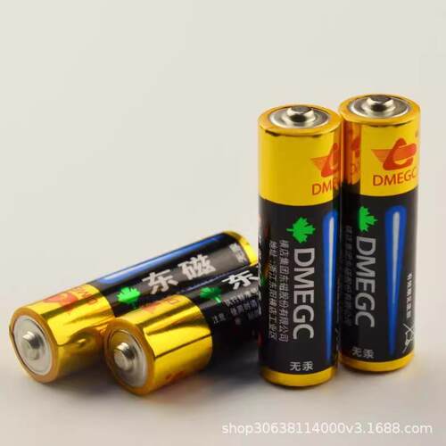 DMEGC东磁碱性5号电池LR6 AA 电池1.5v鼠标玩具智能锁五号干电池