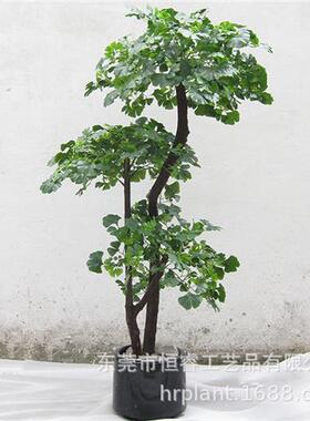 厂家定制仿真银杏树人造金黄色叶银杏假树白色叶绿叶银杏树