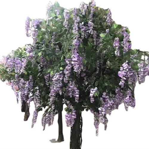 豆花树酒店婚庆摆设装饰豆花树广场办公绿化景观树植物树