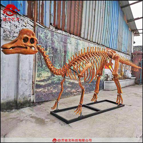 苍龙盔头龙鸭嘴龙慈母龙鳄龙玻璃钢骨架化石仿真恐龙霸王龙骨架