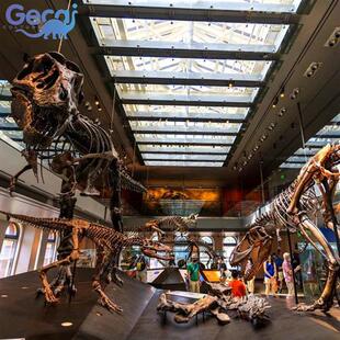 仿真动物恐龙骨架骨骼化石博物馆科普馆展览化石模型厂家定制