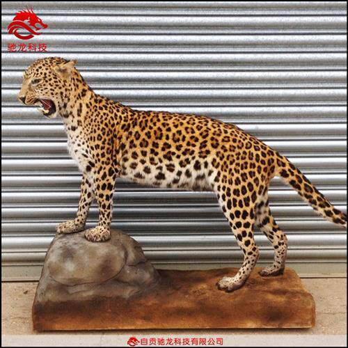 大型仿真豹子雕塑电动机械仿生猎豹动雕仿真动物模型机械装置定制
