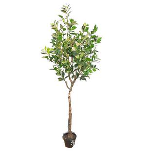 高仿真球形月桂树盆栽室内家居桂花树摆件假绿植盆栽造景拍摄道具