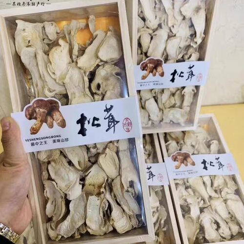 100g长白山林区松茸片干货松茸菌
