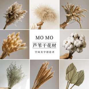 米白色高级感干花天然芦苇真花蒲扇薰衣草兔尾草客厅酒店样板间