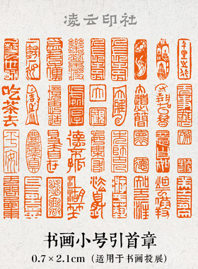 书法小号闲章成品引首章超小章书画国画印章随形长方形七毫米篆刻