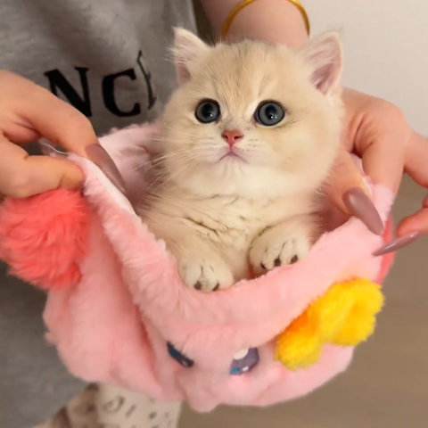 猫咪袋子卡通少女心可爱星之卡比毛绒束口袋化妆包布袋抽绳收纳袋