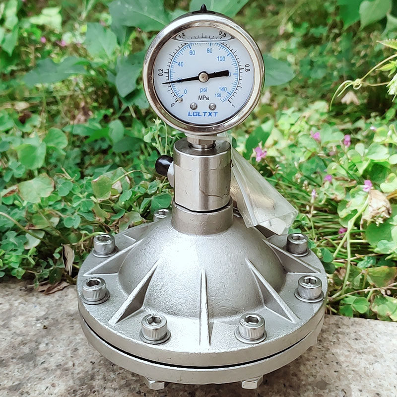 膜片式脉冲阻尼器304不锈钢316l脉动缓冲器 dn15/20/25pvdf气囊式