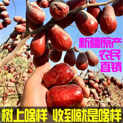 新枣未清洗新疆红枣特级和田大枣