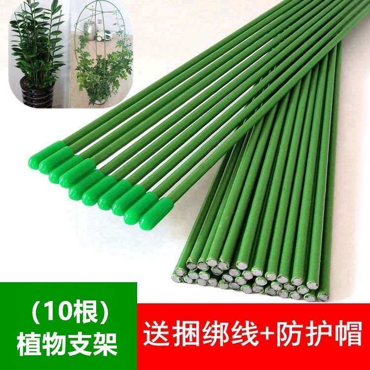 实心铁丝包塑花杆支撑凤尾竹金钱花盆盆栽支架扶正棍树插杆绣球