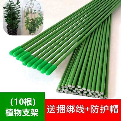 实心铁丝包塑花杆支撑凤尾竹金钱花盆盆栽支架扶正棍树插杆绣球