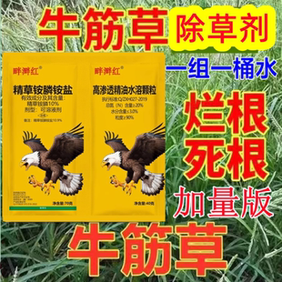牛筋草专杀果园杂草小飞蓬除草烂根剂精草铵膦铵盐强力除草剂农药
