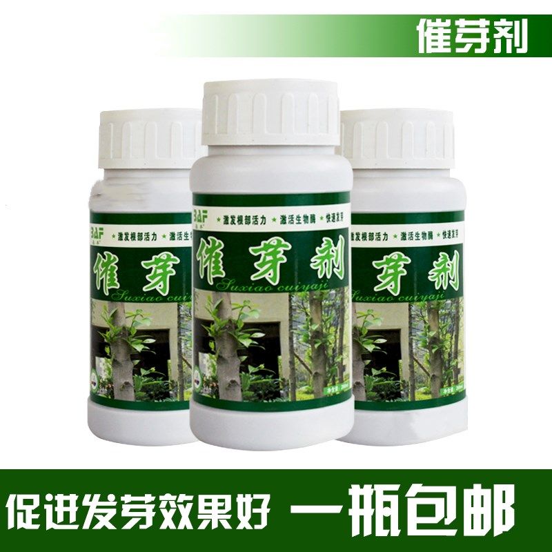 花卉果树催芽剂促生根发芽快速生新芽激活液多肉种子萌芽催包邮