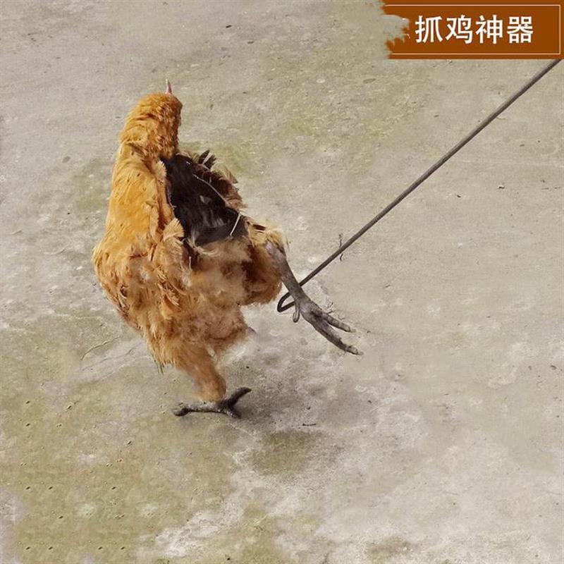 养殖场工具户外家用抓鸡器钩鸡勾子抓鸡神器捉鸡工具捕鸡鸭鸡脚套