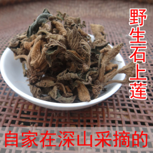 野生石上莲100g 自家在深山采的中草药石上莲 干净无杂质 干品
