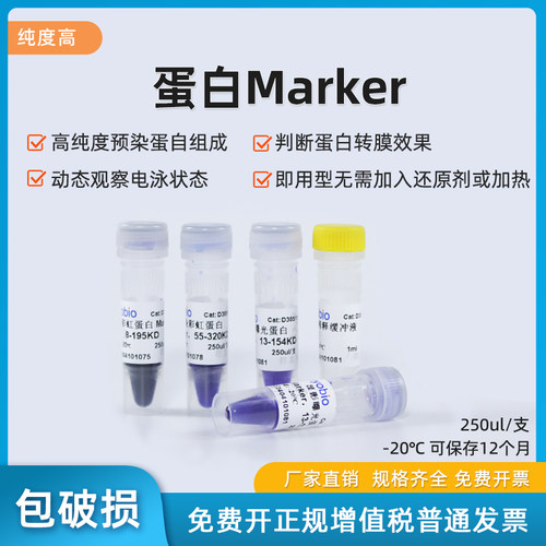 WB预染蛋白Marker彩虹条带
