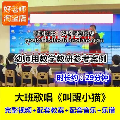 好老师幼师培训面试教研优质公开课大班歌唱《叫醒小猫》十一届