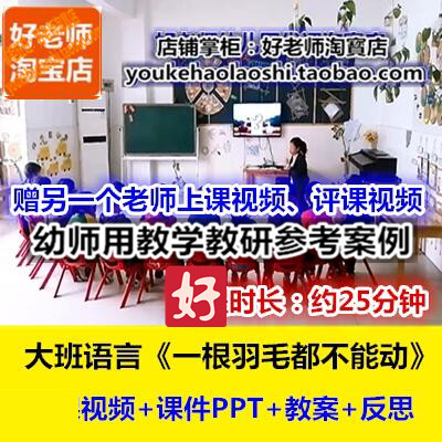 好老师幼儿园幼师教研优质公开课大班绘本 一根羽毛也不能动 2版