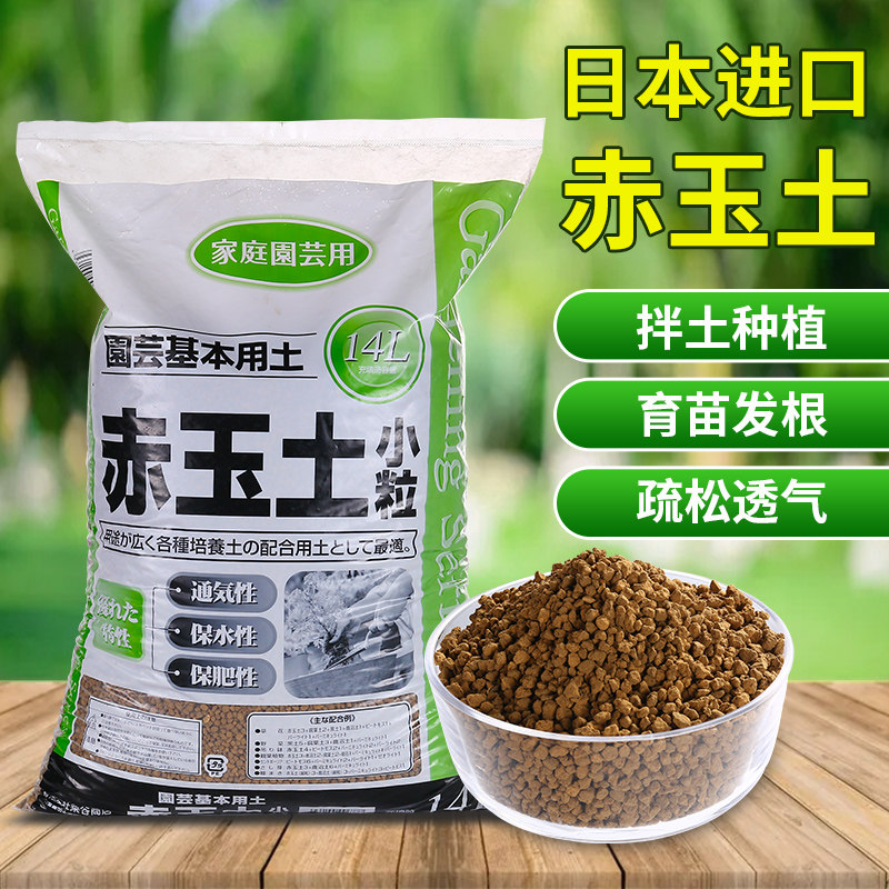 多肉颗粒土纯颗粒 价格 怎么样 图片