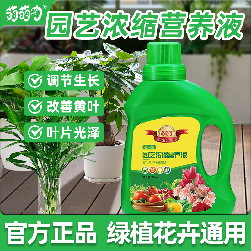营养液植物通用型花肥发财树富贵竹绿萝水培盆栽家用花卉绿植肥料