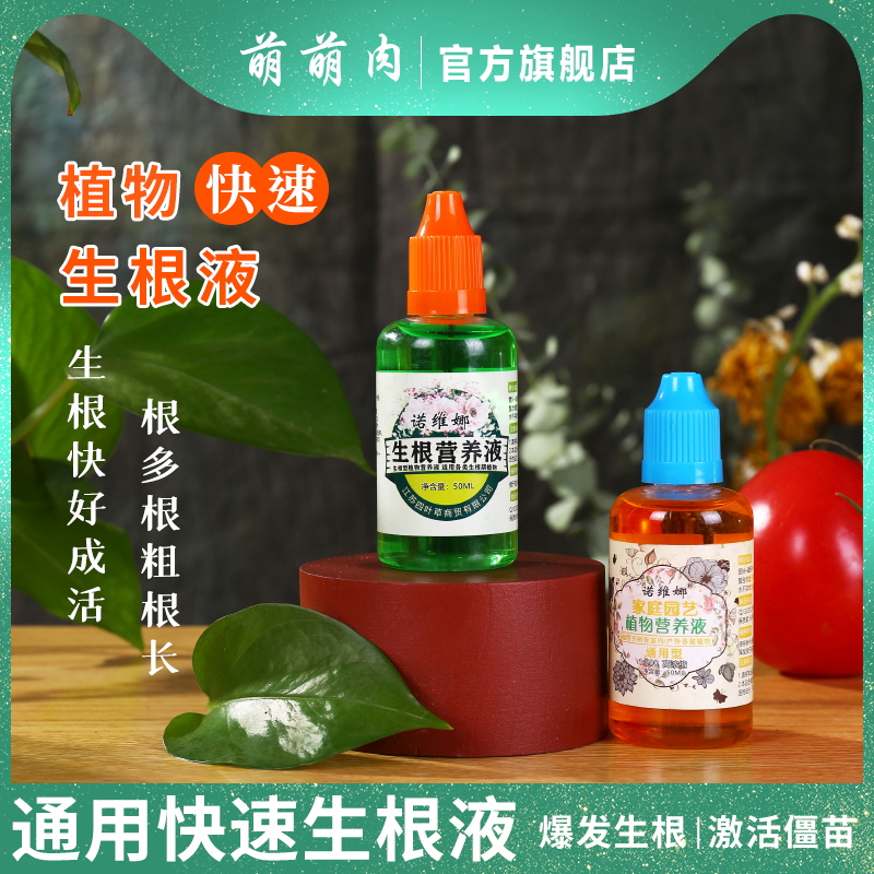 生根液发根植物通用快速生根水营养液扦插用强力生根粉壮苗生根剂