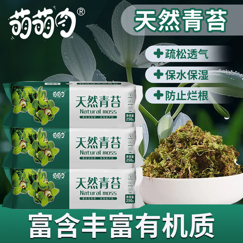 干苔藓青苔兰花蝴蝶兰种植专用营养土乌龟爬宠垫材铺面智利水苔