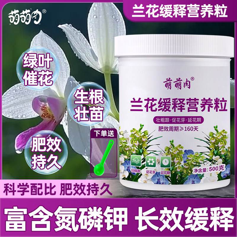 兰花专用肥蝴蝶兰君子兰石斛兰缓释控释肥料肥兰科肥料促开花肥料,鲜花速递/花卉仿真/绿植园艺,家庭园艺肥料,淘宝优惠券,粉丝福利购,淘宝优惠卷