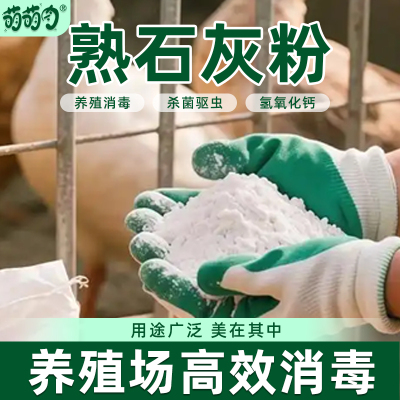 熟石灰粉50斤装氢氧化钙消石灰
