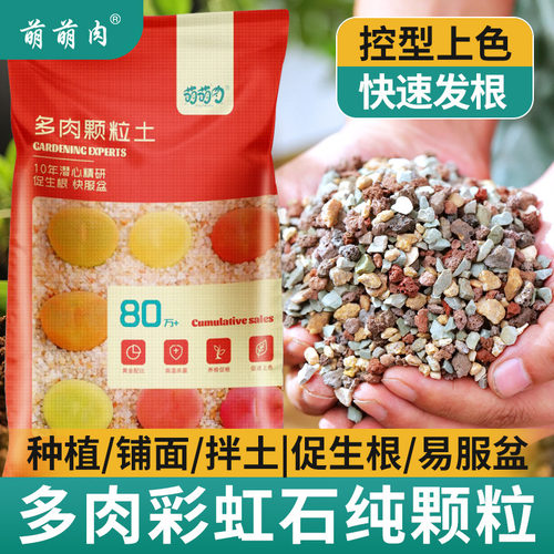 萌萌肉通用型铺面专用彩虹石